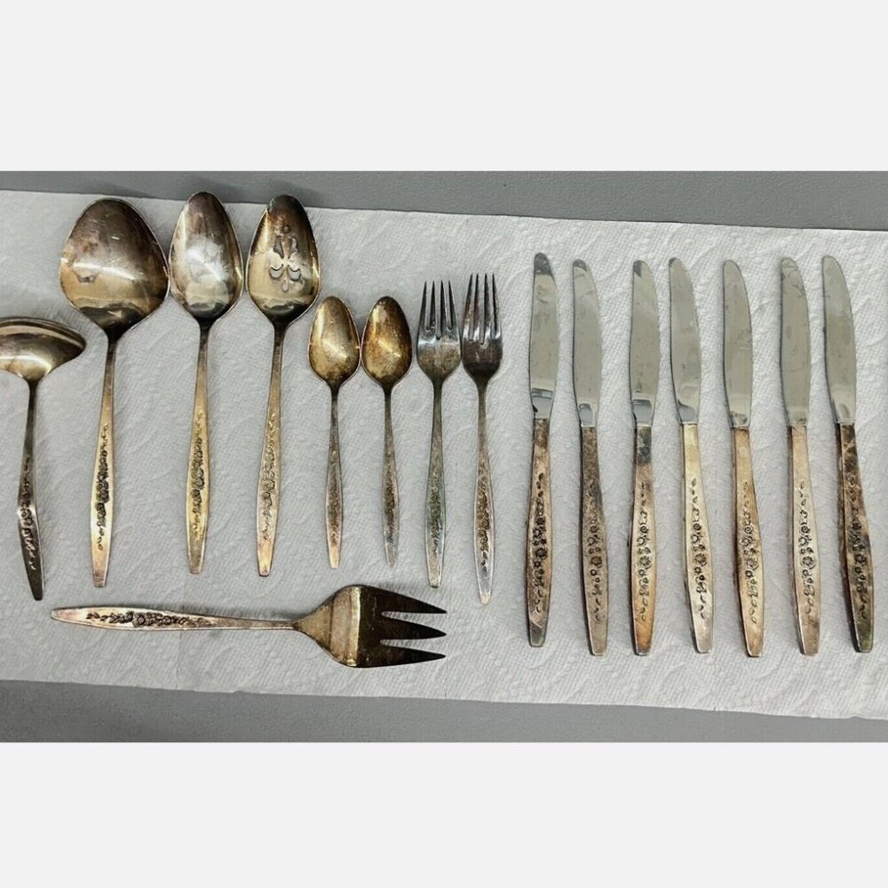 Laurel Mist 17 Piece Place Setting Deep Silver by International